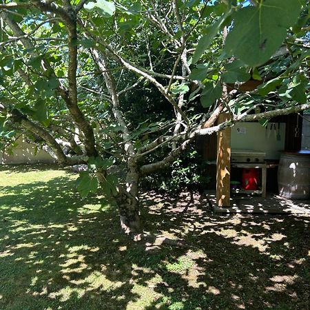 Jolie Maison Le Teich Bassin Park/Wifi Exterior photo