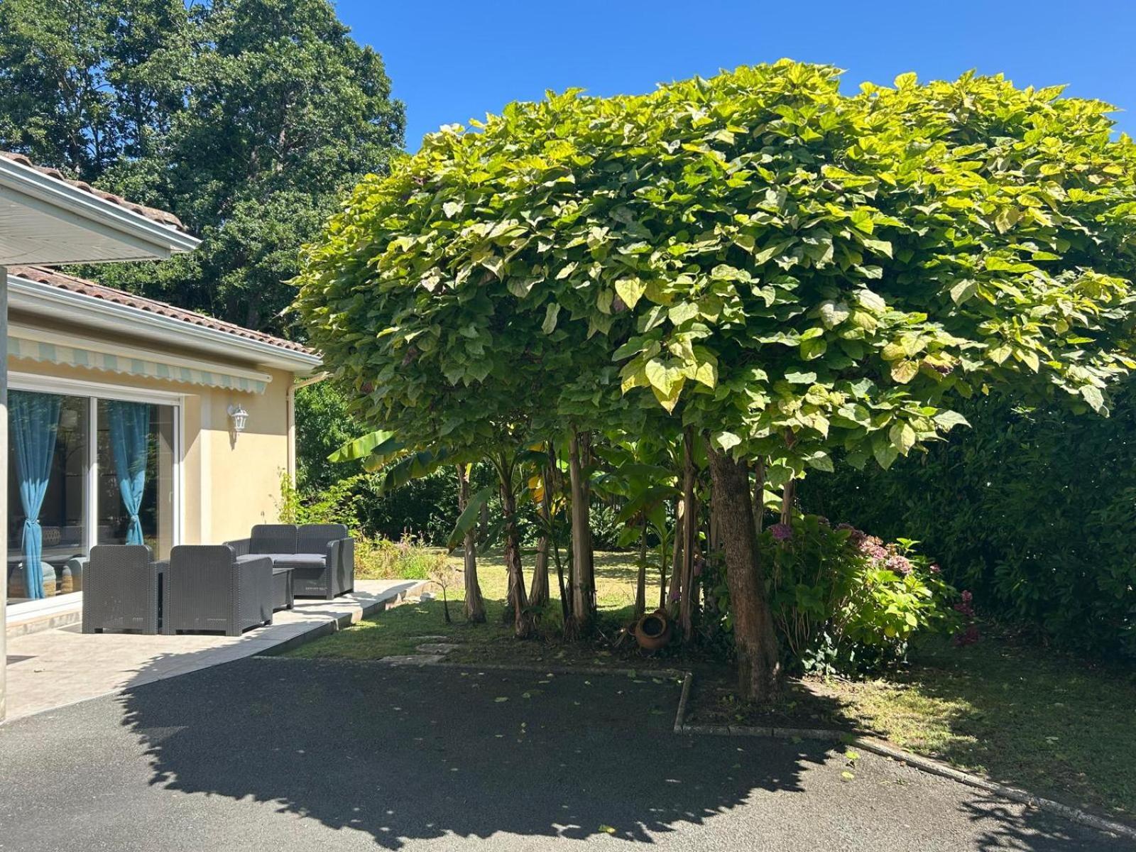 Jolie Maison Le Teich Bassin Park/Wifi Exterior photo