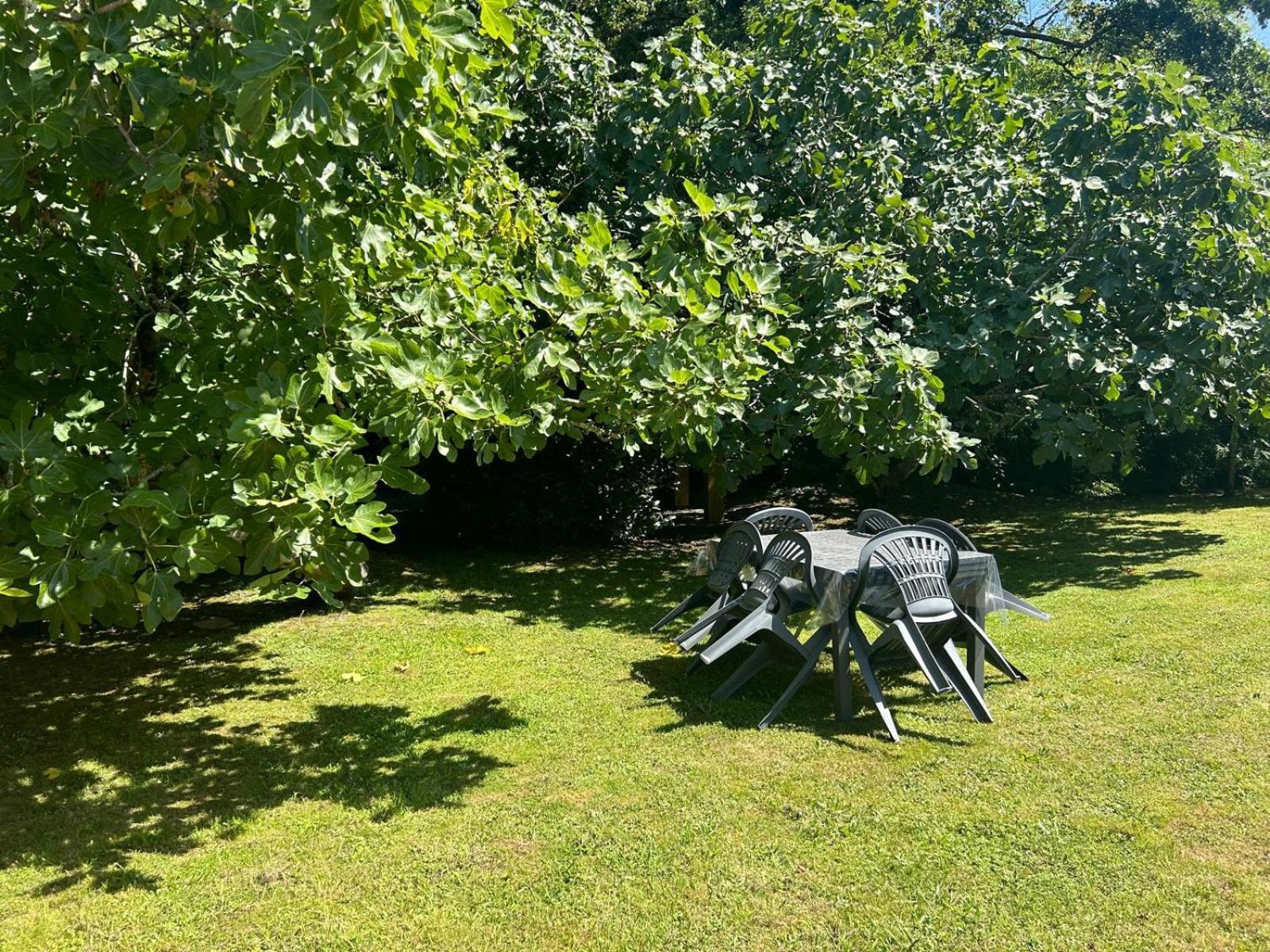 Jolie Maison Le Teich Bassin Park/Wifi Exterior photo